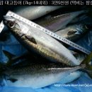 8월27일 :생선바구니 (고등어등..) 이미지