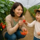 [학습카페] 플립을 활용한 강점찾기 | 아이와 함께 떠나는 체험형 농촌 여행 BEST 7 – 도시 아이에게 진짜 자연을 보여주는 방법