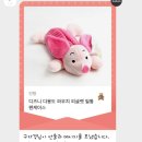 날아라피그렛 이미지