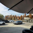 공임나라 구룡점 이미지