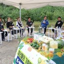 가시 태양광발전사업 헤럴드경제