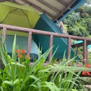 흰작살펜션 이미지