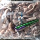 (주)해심 이미지