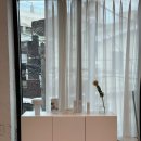 뉴데이 울산