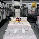 경주이불침구전문점 코지네스트웨어하우스경주노서점 온누리페이, 경주페이 혜택 겨울준비끝 내돈 내산 이미지