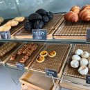 Win Some (윈썸) 이미지