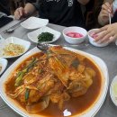 지아네멍멍애견샵 | 여름휴가 끝나지 않았음 좋겠지만.. 내일 출근이다..