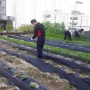 시립광교동어린이집 이미지