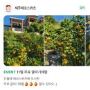 제주에코스위츠 이미지