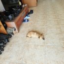 통도승마랜드 이미지