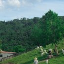 동원목장(2농장) 이미지