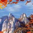 덕산면001 Daum카페