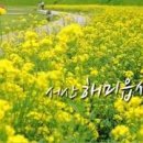 해미로 이미지