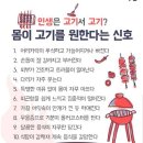 맨날고기야 이미지
