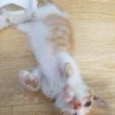 동물은내친구 이미지