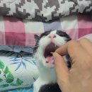 냠냠쩝쩝 이미지