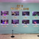 버들치도서관 이미지