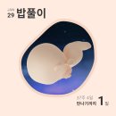 동산세탁 | 고위험 산모 임신 후기 기록 35주에서 37주 기록 동산병원 막달 검사