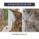 초전농약사