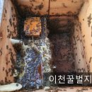 월동벌 준비하는 8월 꿀벌관리 이미지