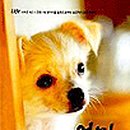 가온동물병원 이미지