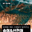 주식회사 컴퍼니제이에스