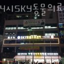 부평24시 SKY 동물의료센터 이미지