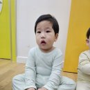 2월23.24 포비하루 이미지