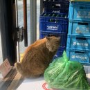 태조감자국 이미지