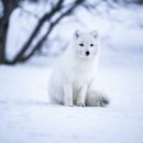 네임스튜디오