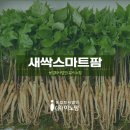 법인이노팜
