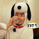 누와나요 이미지