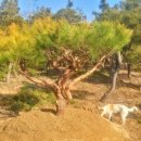 삼산농장 이미지