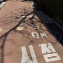 산새공원 입구 | 2026년 부산 민주공원 겹벚꽃 개화상황 실시간 현황 주차 꿀팁