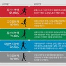 웨이트랩 이미지