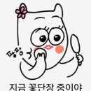 꽃:단장헤어 이미지