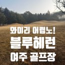 헤런((Heron) | 와 어렵다! 블루헤런CC 늦가을 후기...
