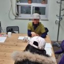대야미마을협동조합 이미지