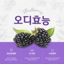 삼남농원 | 서울산농원체험맞이 소개글