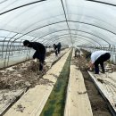 전북도청 이미지