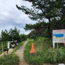 강아지와 고양이의 구멍가게 | 아이노시마에서 고양이 보기 [2025 후쿠오카 여행] -3일차-