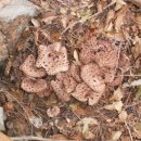 삼구농장 이미지