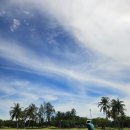 (주)모스트투어 이미지