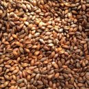 보리보리쌀 이미지