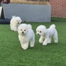 멍더가든 이미지