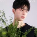 키르시 이미지