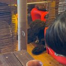 센타프라자(안양센타빌딩) | 2025년 4월 일상 2