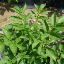 재구농장 이미지