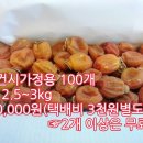 인숙이네