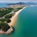 완도신지노을펜션 | 강진 수국길부터 완도 바다까지 1박2일 가족여행 후기 여름에 가장 만족했던 꽃여행 코스